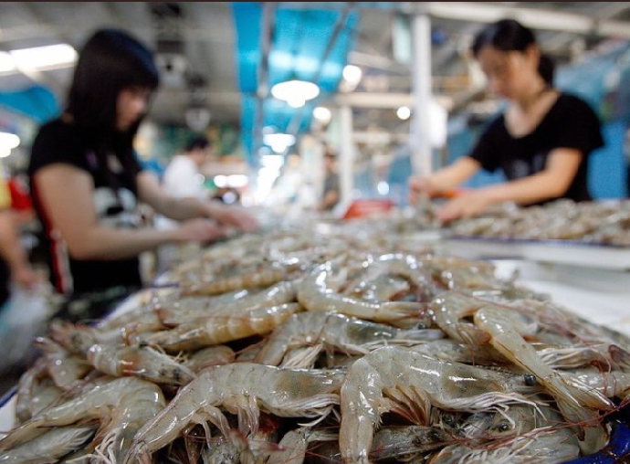 China Points to Shrimp as Covid-19 Carrier After Salmon Debacle