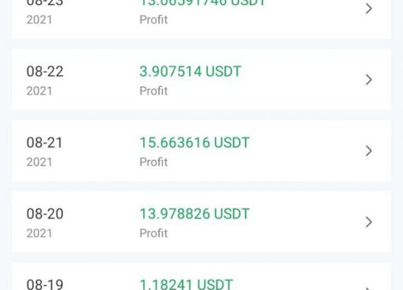A screenshot of cryptocurrency profit on Royal Q 