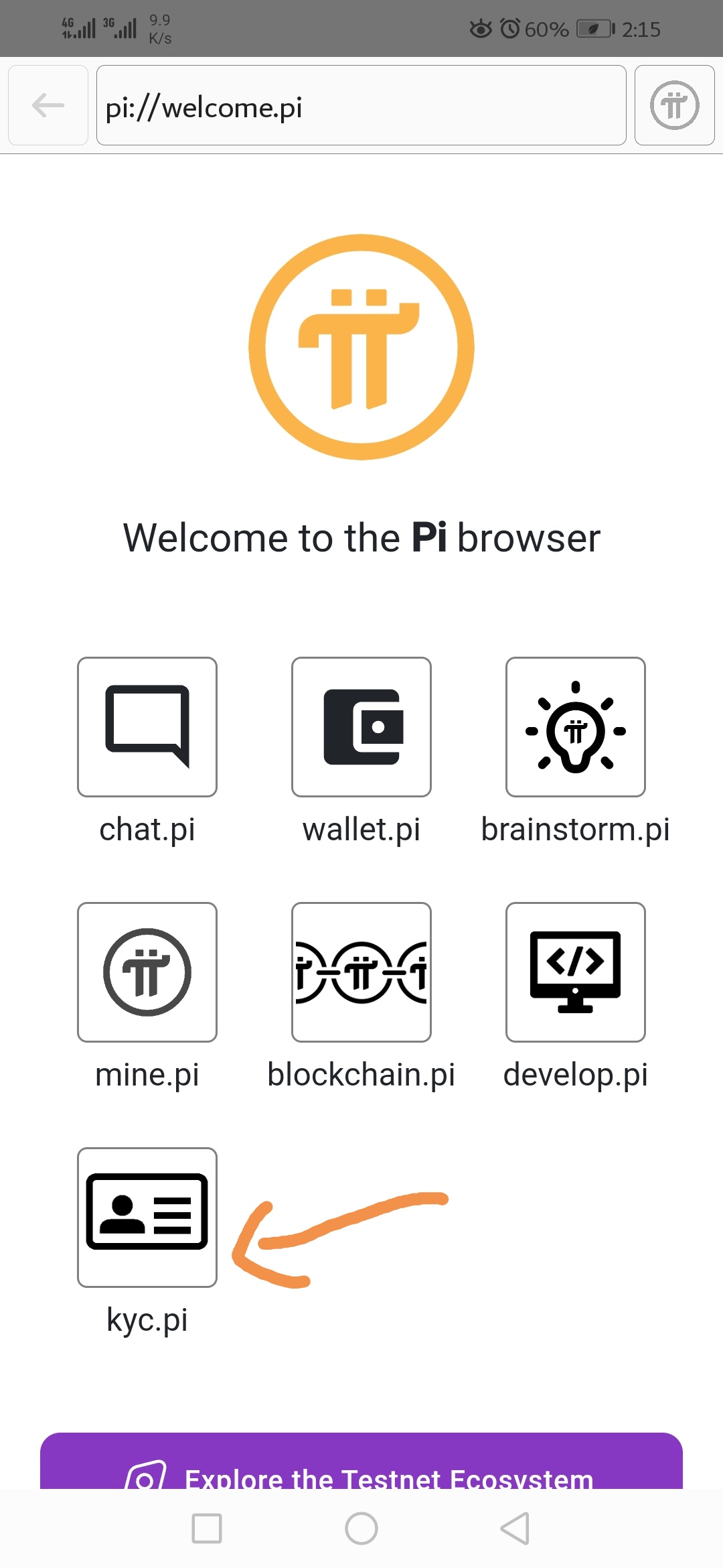 A screenshot of pi browser showing pi kyc